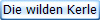Die wilden Kerle